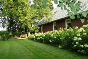 weekendje collega's Boekel boerderij Belvilla vakantiehuizen