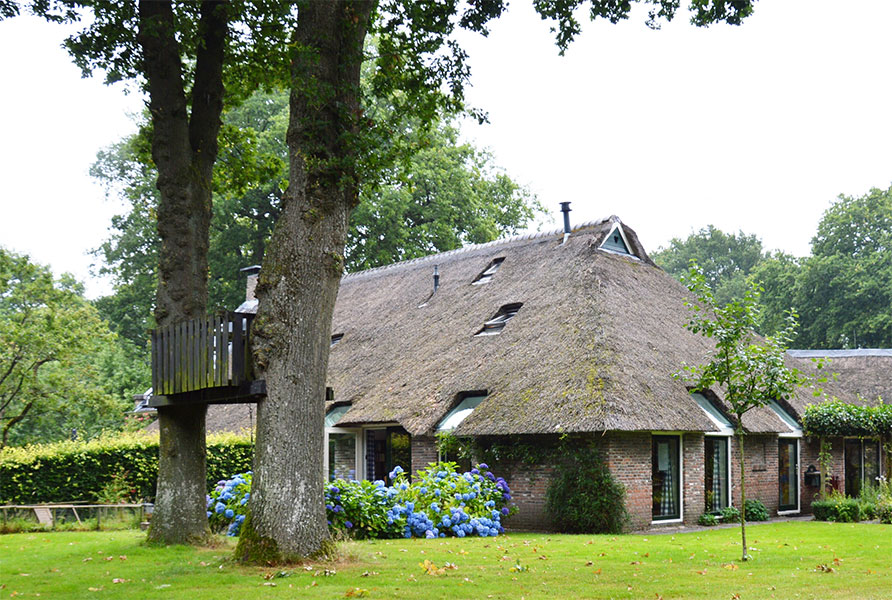 boerderij boomhut Diever Nederland Belvilla vakantiehuizen