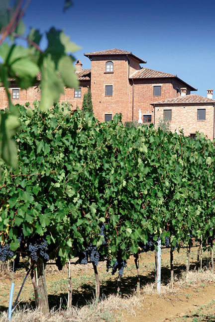 agriturismo wijn Toscane Belvilla vakantiehuizen