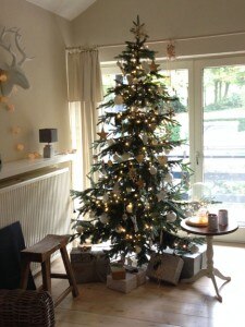 kerstboom landhuis Goesnes Ardennen Libelle kerst Belvilla vakantiehuizen