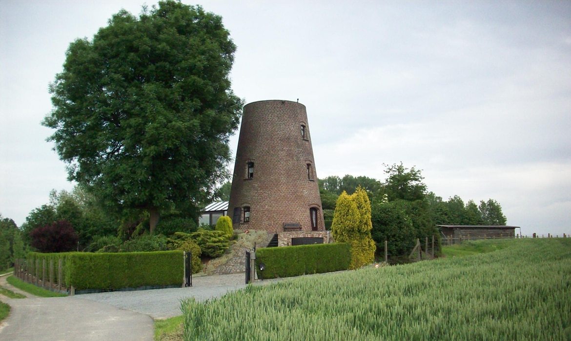 Graanwindmolen