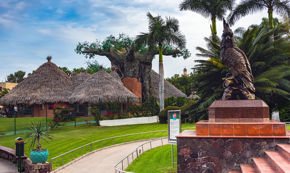 loro-parque-tenerife