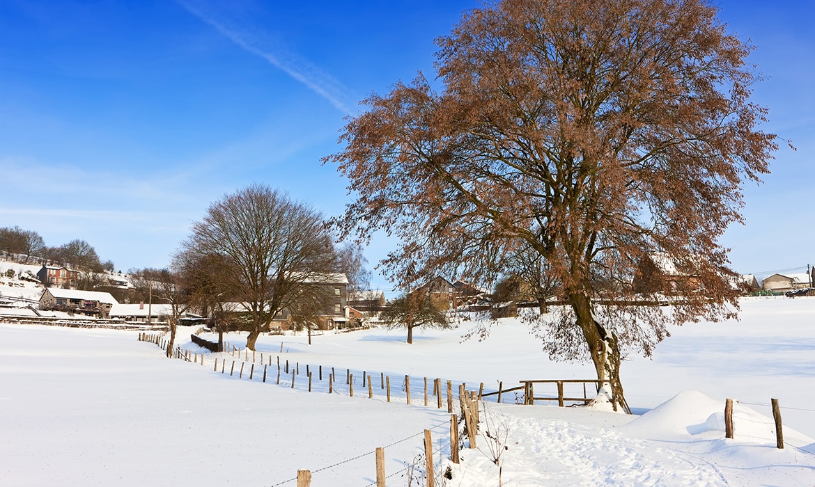 ardennen-winter