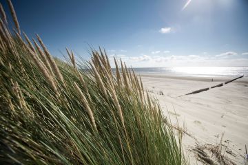 Belvilla bereidt uit met ruim 2.000 vakantiehuizen, waaronder veel woningen aan zee